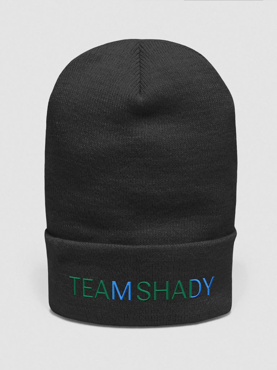TEAM SHADY Cupped Beanie product image (2)