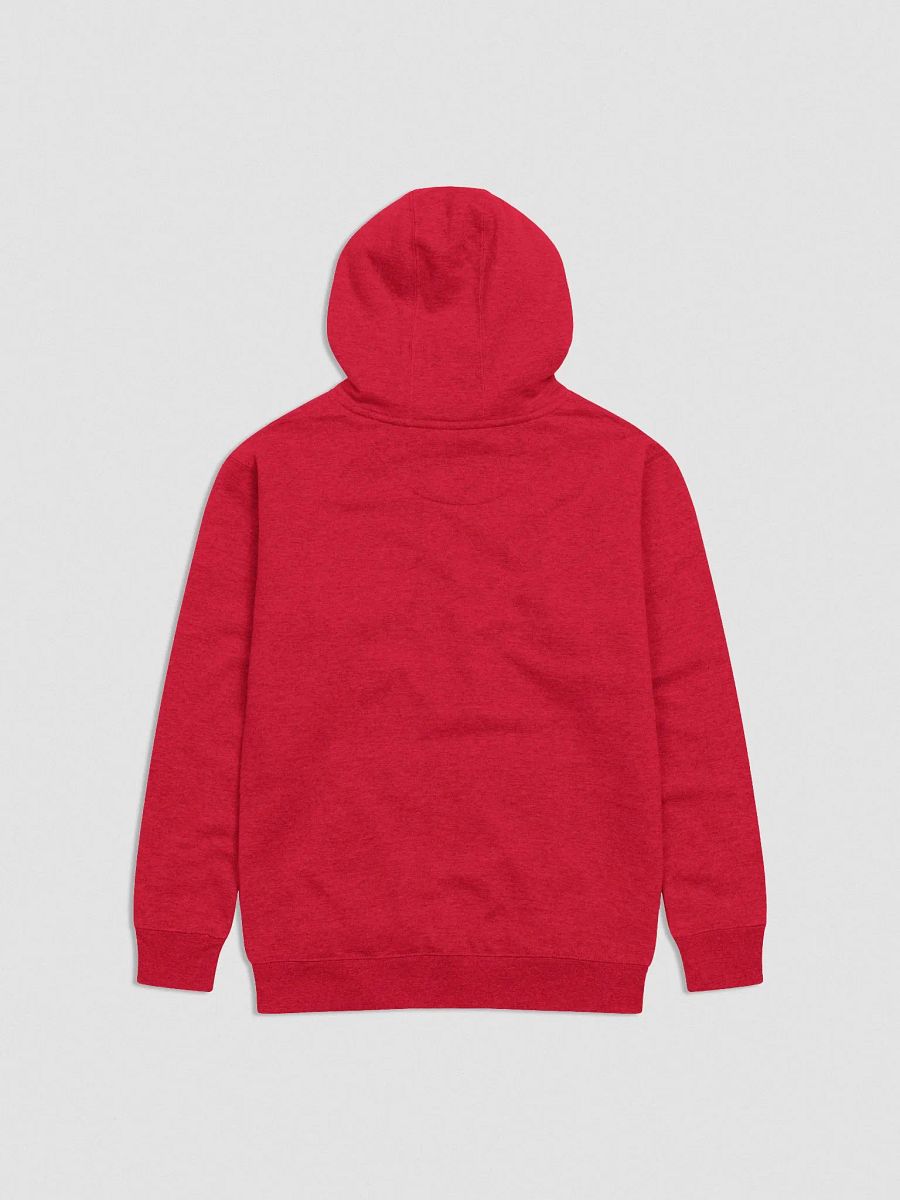 BRED Hoodie product image (2)