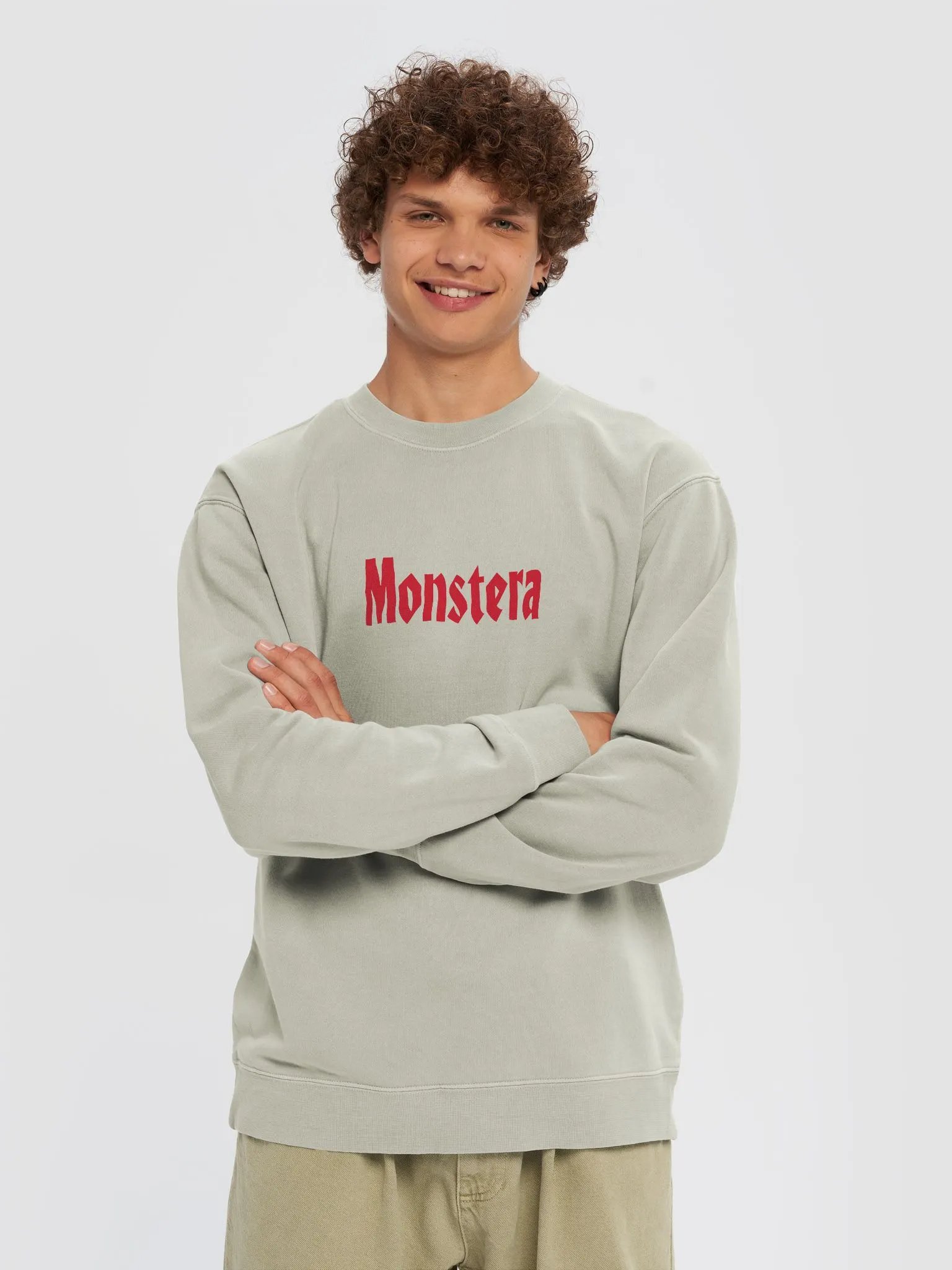⚡️ MONSTERA WORLD TOUR ⚡️ unisex midweight pigment dyed sweatshirt product image (3)