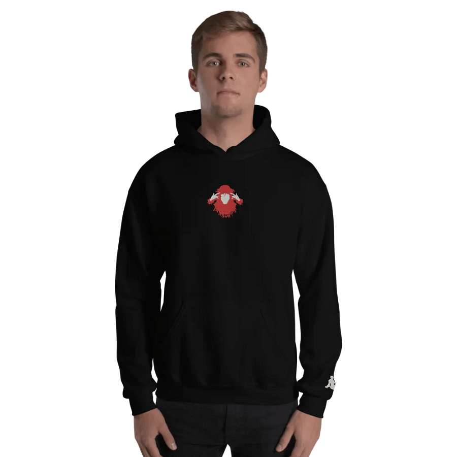 The Soul Embroidered Hoodie product image (4)