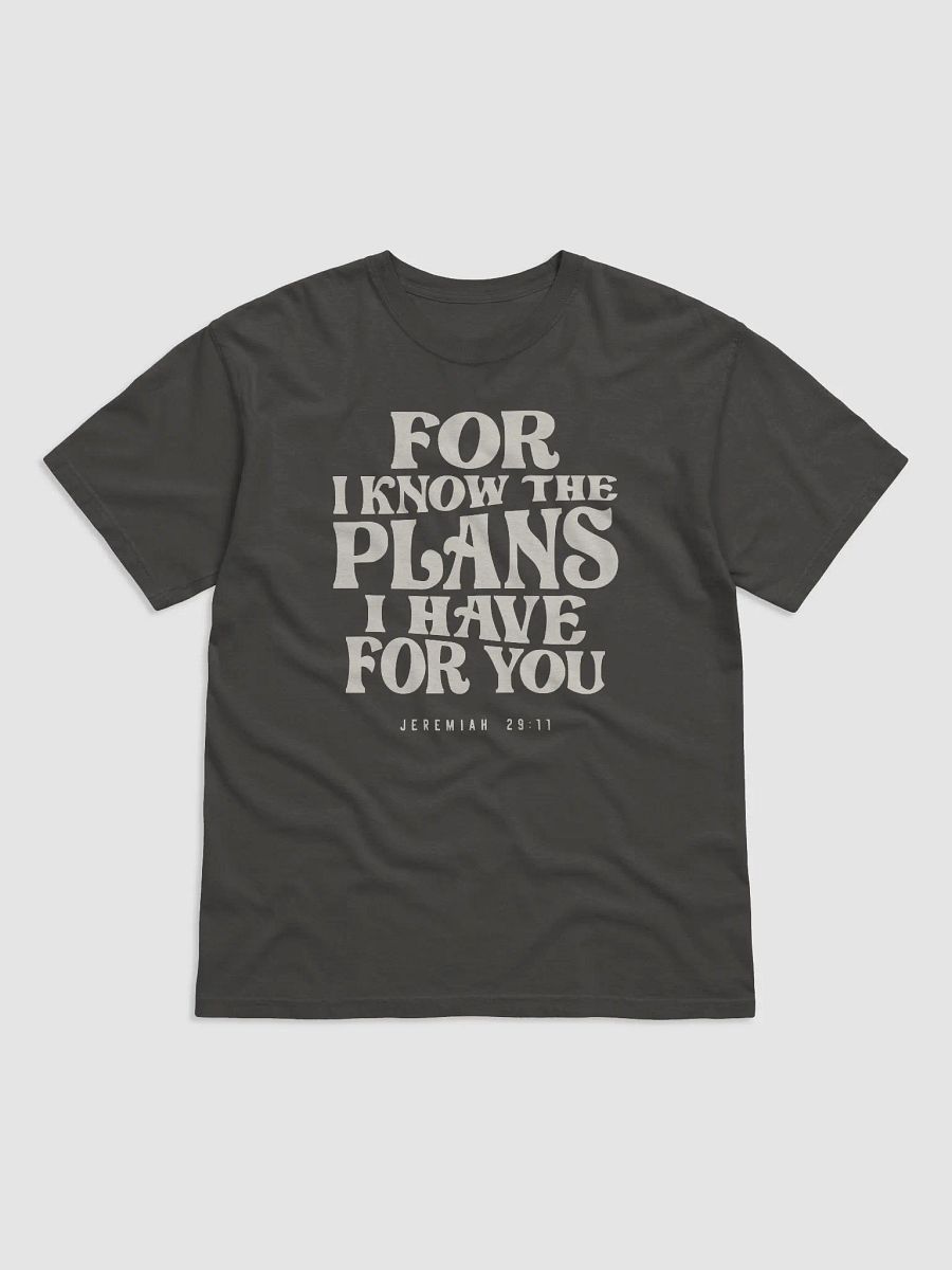 Jeremiah 29:11 Divine Plans Await - Christian Quote product image (2)