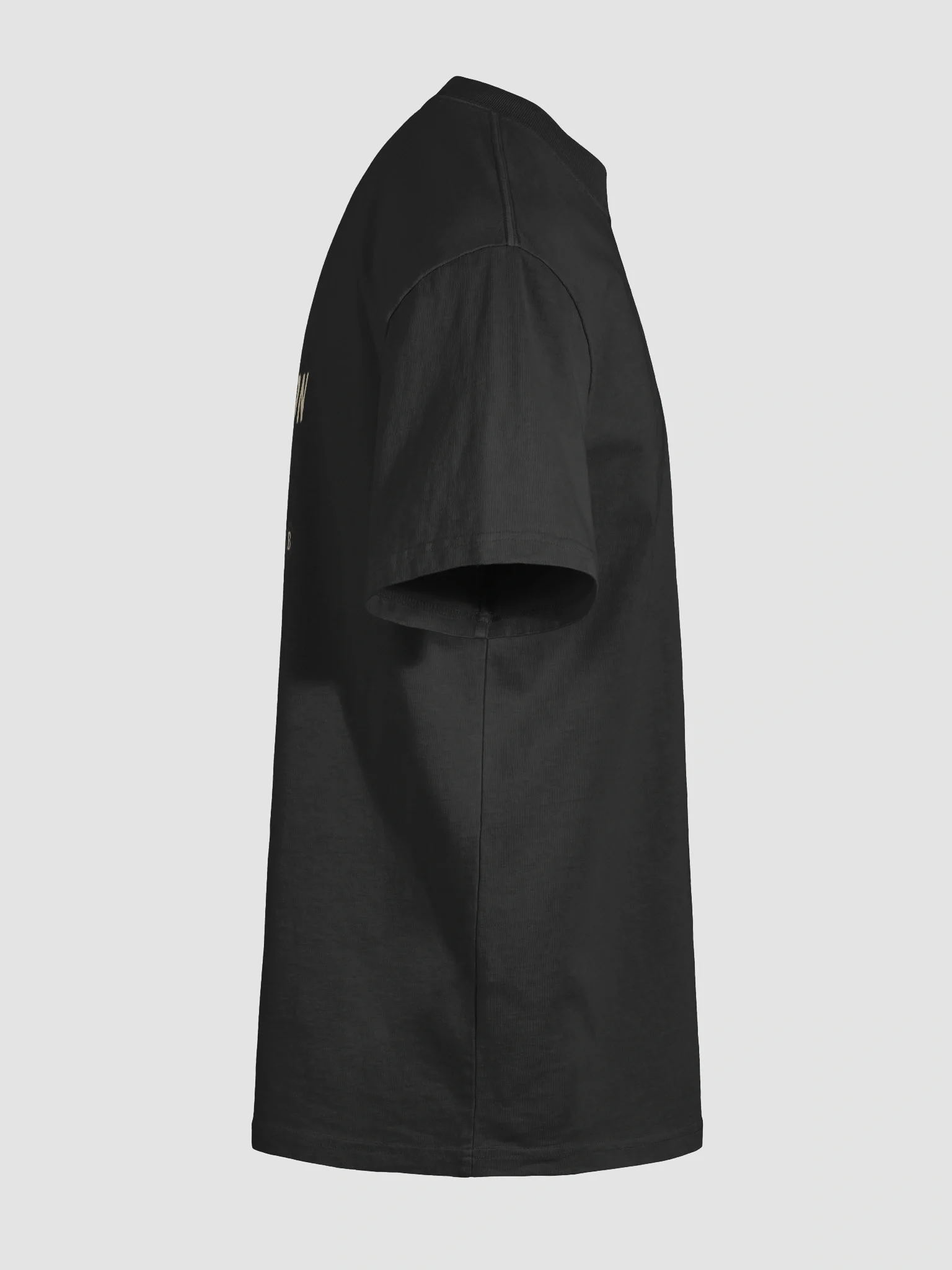 Bitcoin True Story Oversized Tee product image (10)