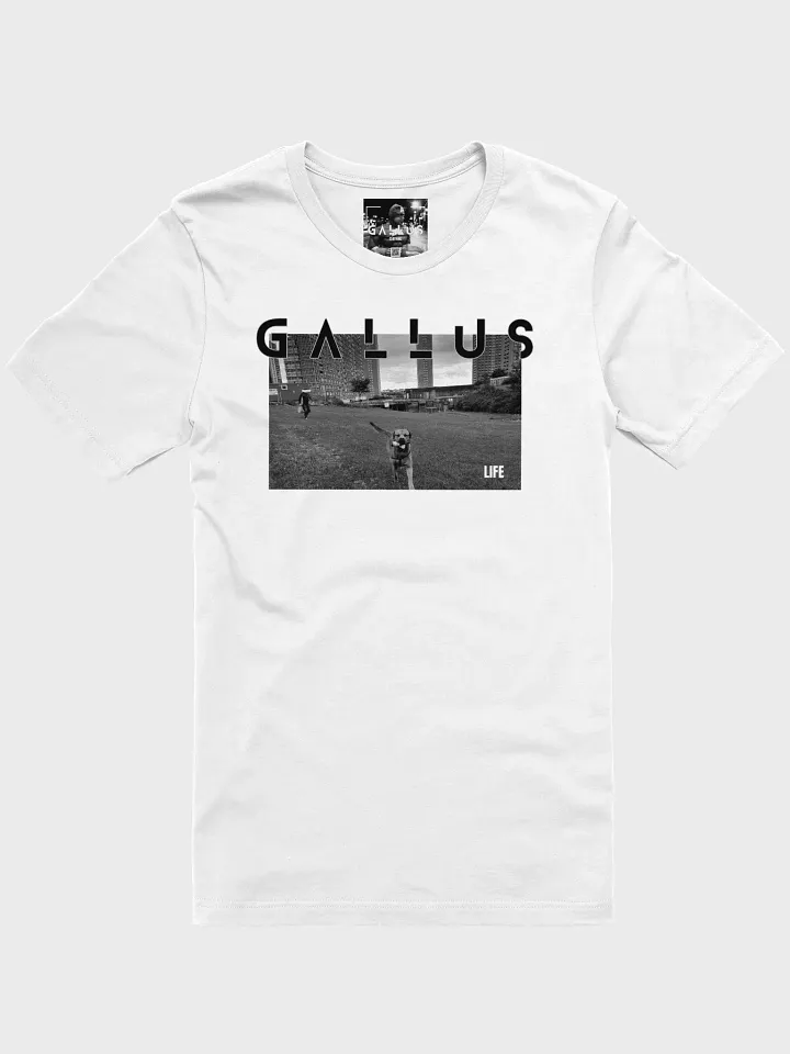 Gallus 2025 Life Collection product image (47)