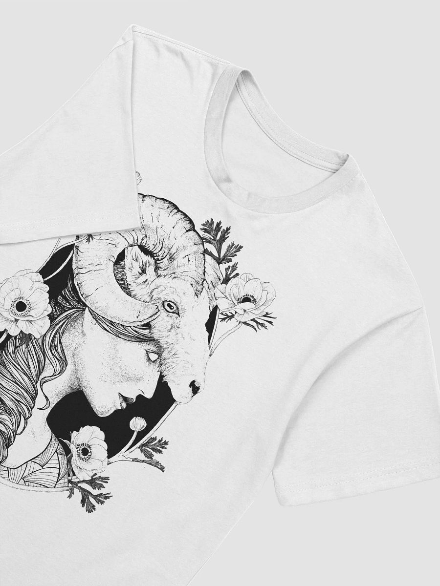 Aries product image (3)