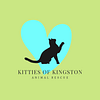 Kitties of Kingston