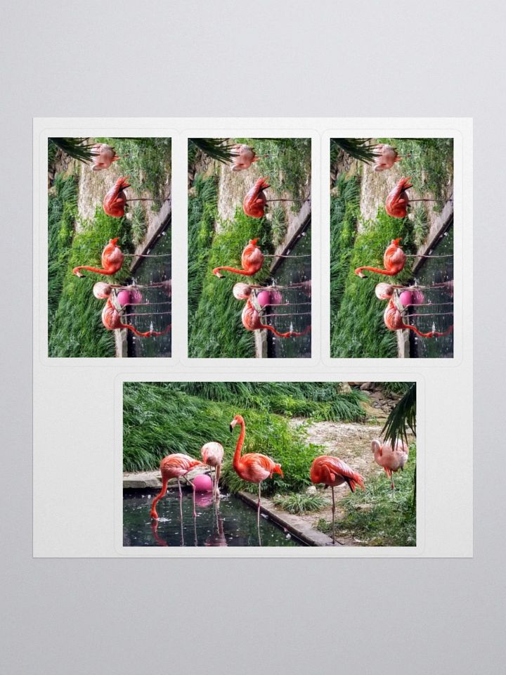 "Buckie" Stickers product image (1)