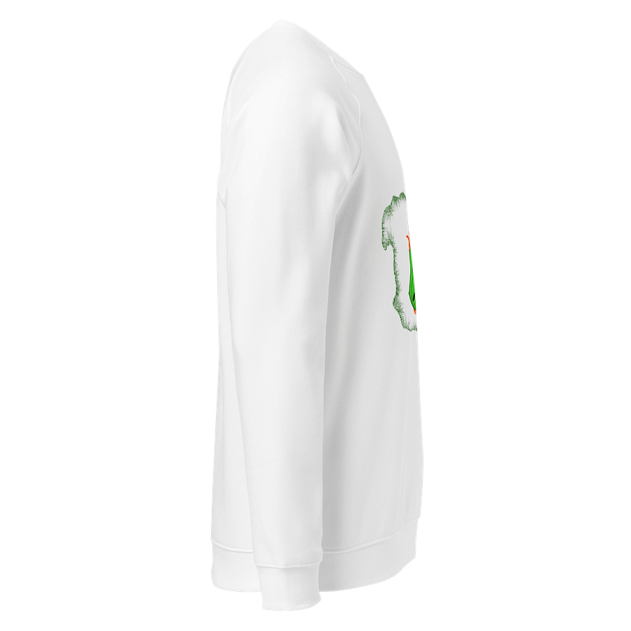 Dragon's Breath Unisex Organic Raglan Sweatshirt product image (4)