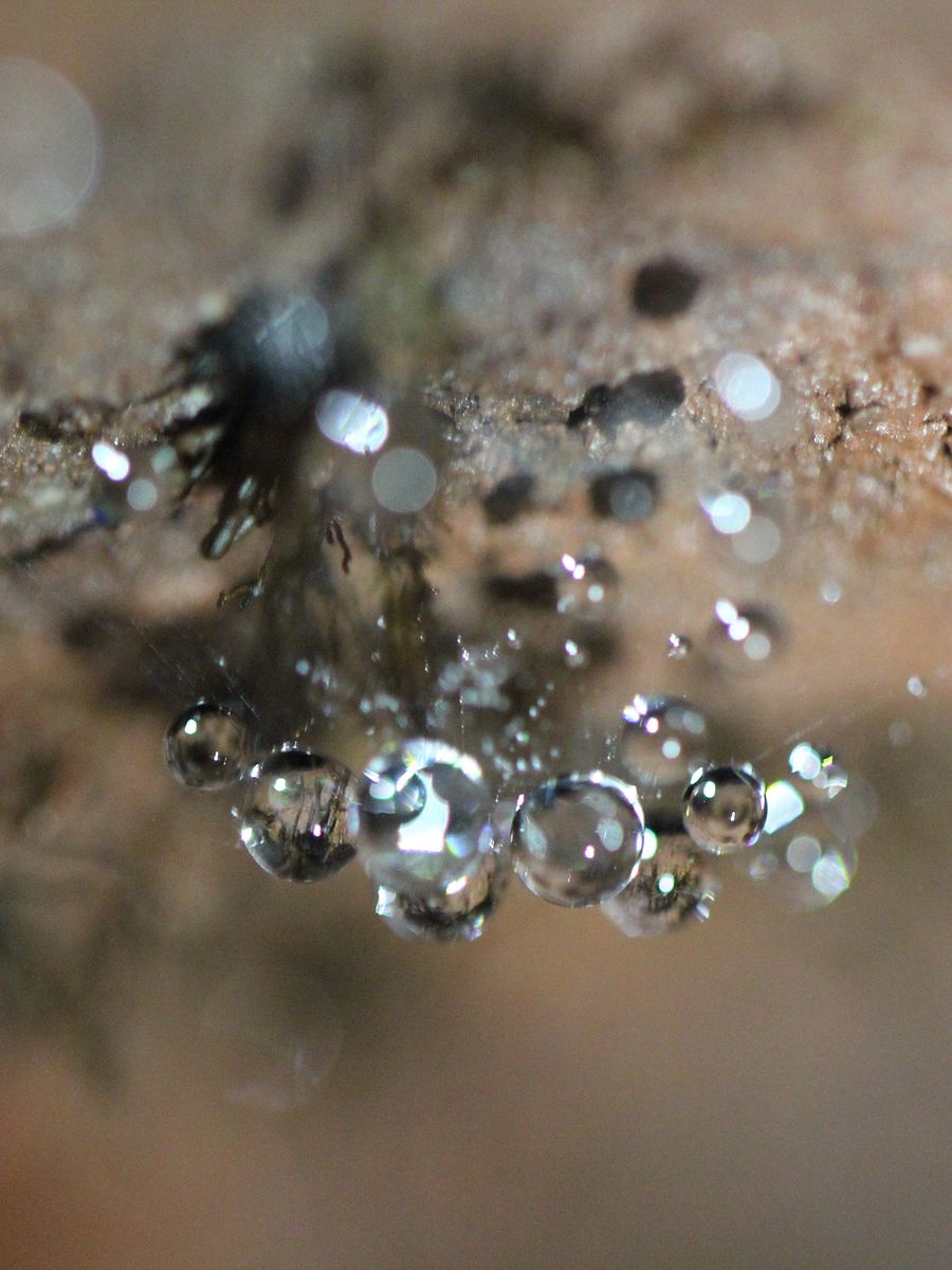 Abstract Image Collection product image (4)