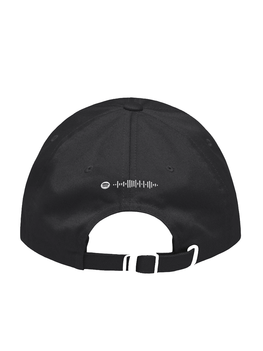 AP West Hat product image (2)