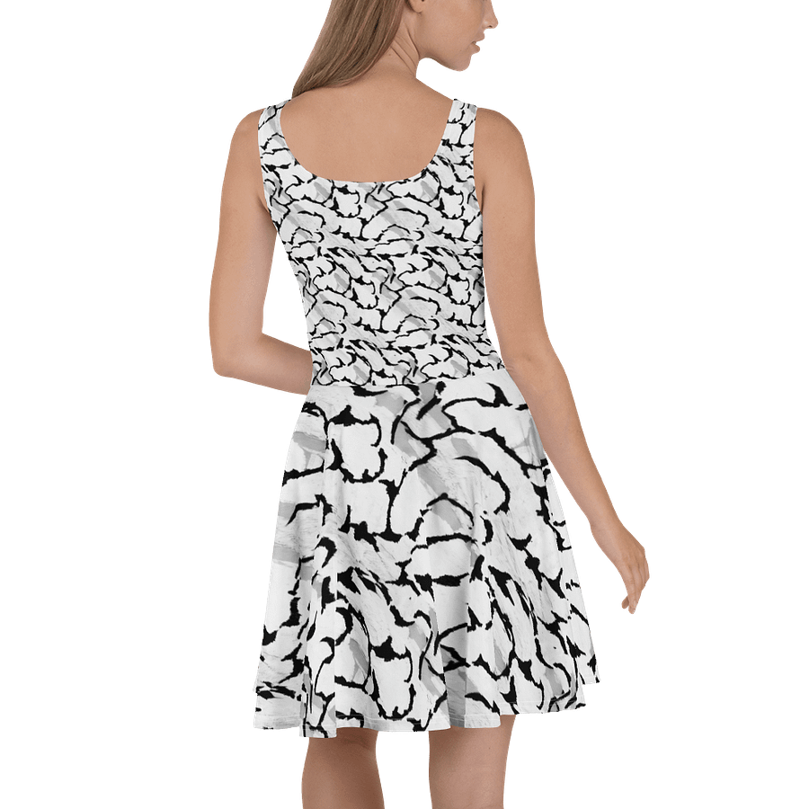 Black White Skater Dress product image (4)