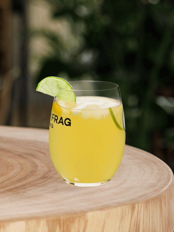 TopFrag™ Chia Stemless Wine Glass product image (8)