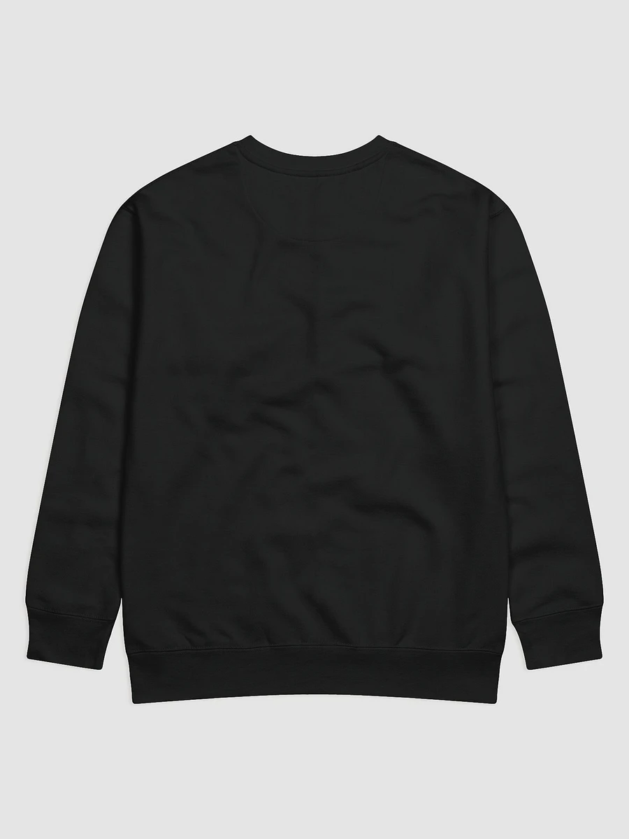 ANJ Sweatshirt product image (12)