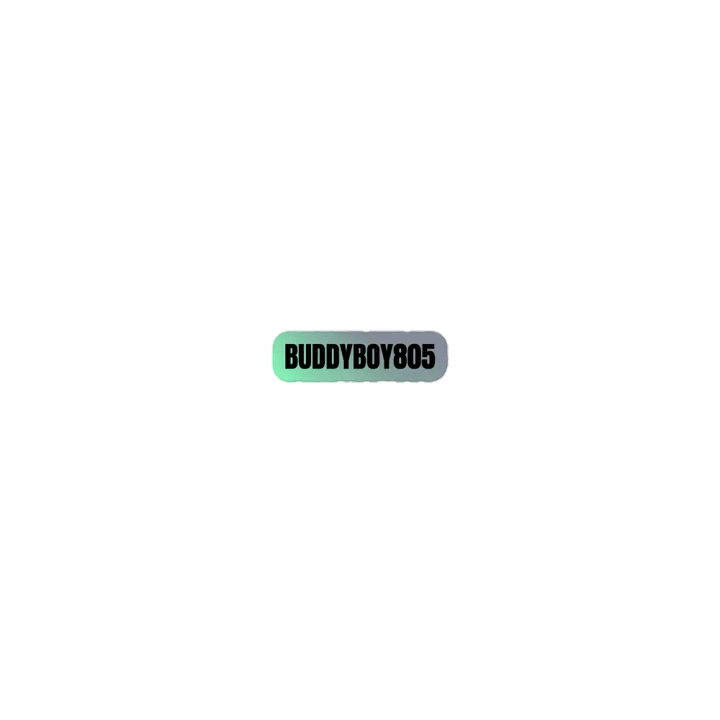 BuddyBoy Holographic Sticker Set product image (1)