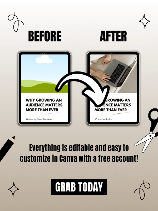 MRR/PLR Editable eBook Template in Canva product image (8)