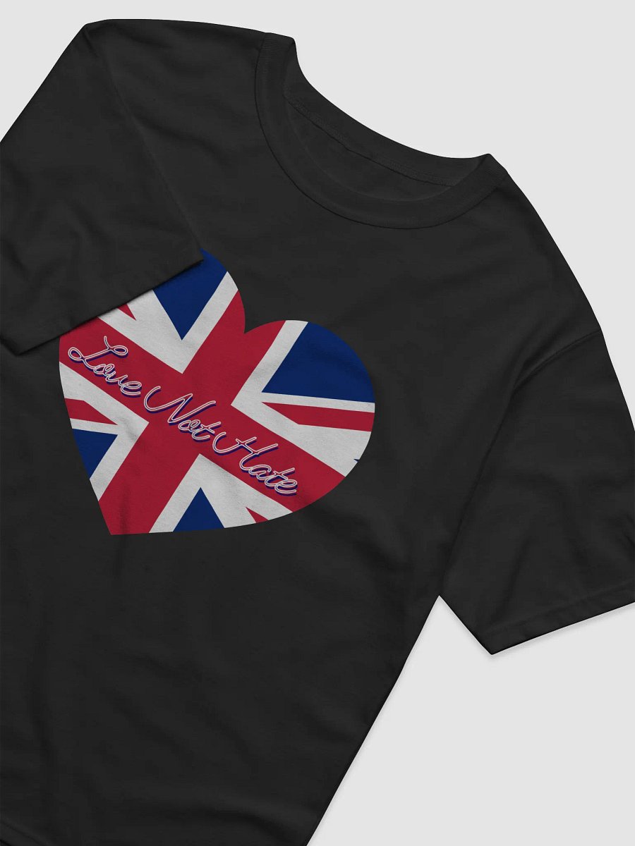 Love Not Hate T-Shirt Champion product image (16)