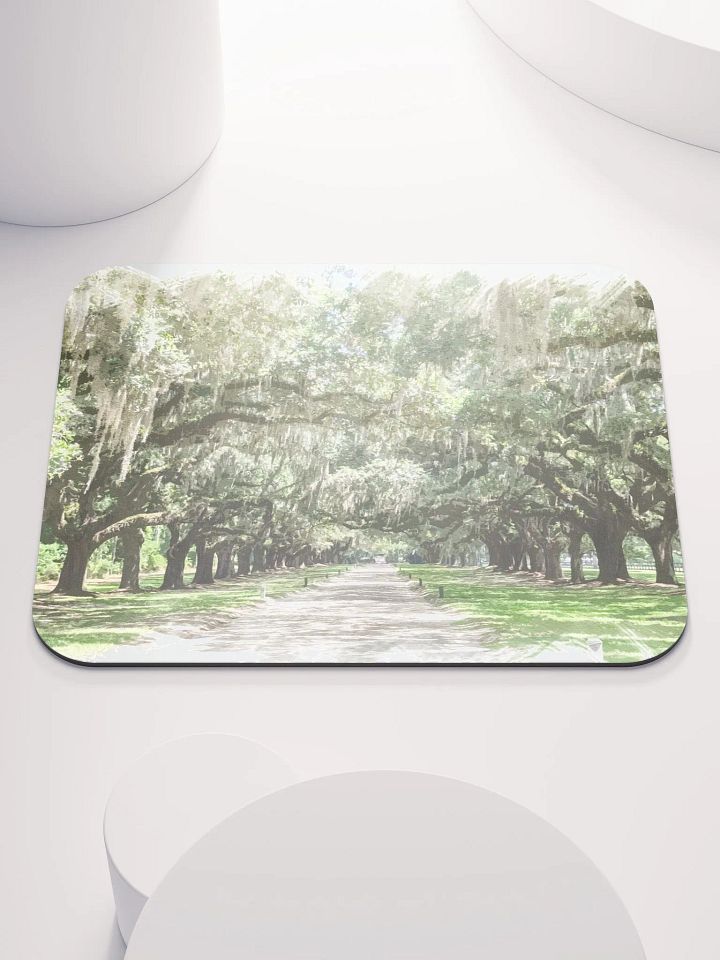 Avenue of the Oaks, Boone Hall Mousepad product image (1)
