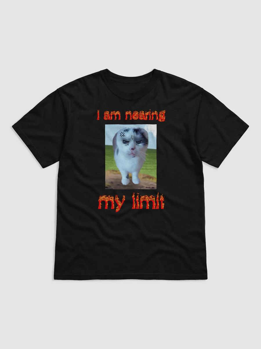 I am nearing my limit product image (1)