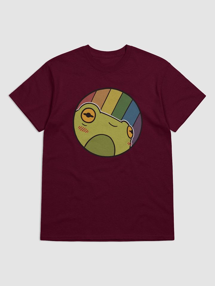 t-shirt : froge rainbow-muted product image (1)