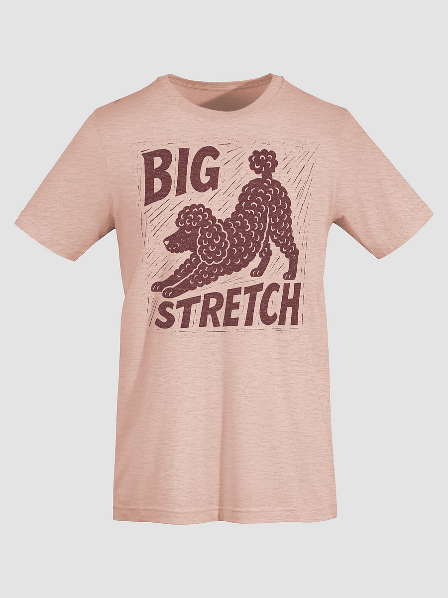 Big Stretch T-shirt product image (7)