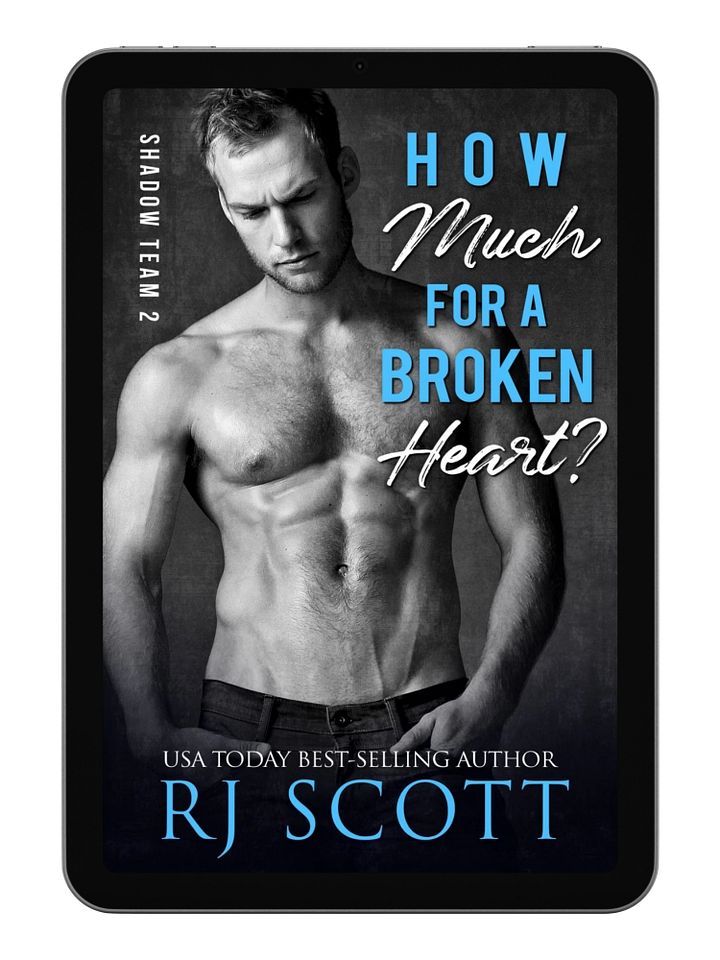 How Much For A Broken Heart? (Shadow Team, 2) - eBook product image (1)