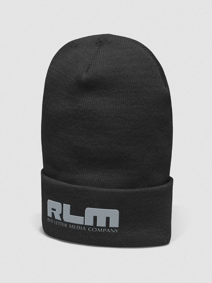 RLM Delorian Logo Hat product image (8)