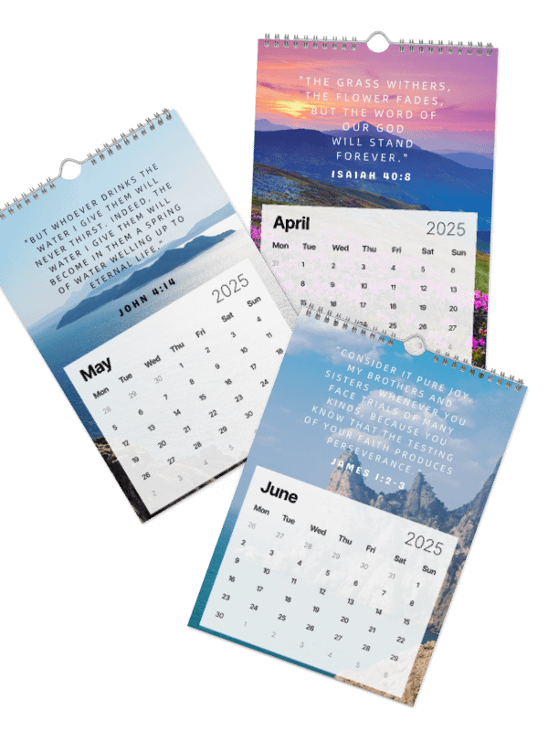 2025 Wall Calendar: The Heavens Declare the Glory of God product image (3)