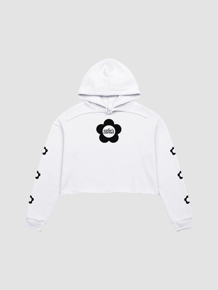 colie's corner cropped hoodie inverted product image (1)
