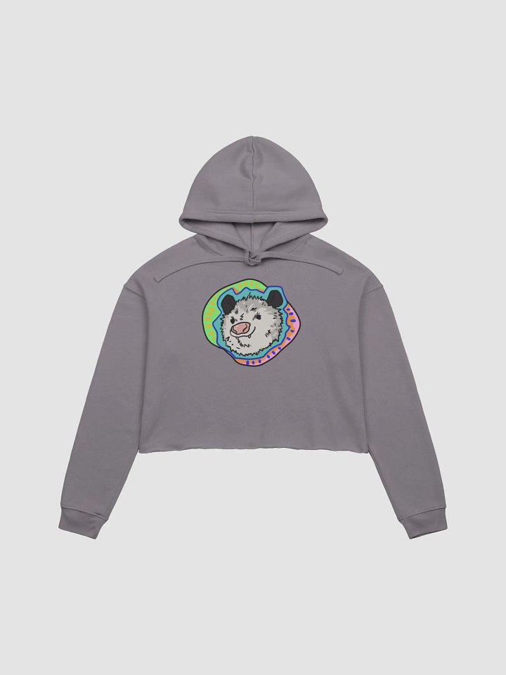 Vaporpossum fleece crop hoodie product image (2)