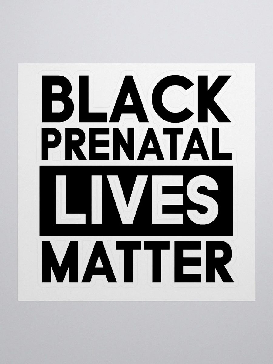 PLM Sticker (Black) product image (1)