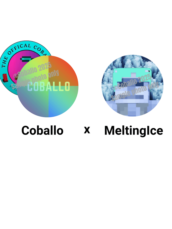 Coballo x MeltingIce T-Shirt product image (1)