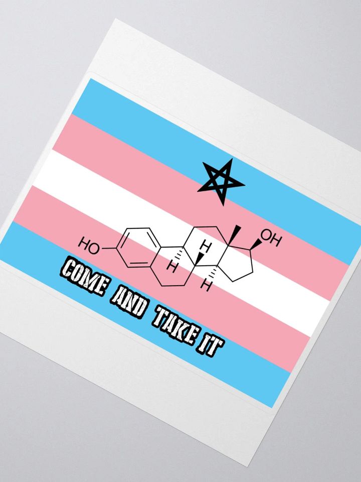 Come and Take It (sticker edition) product image (2)