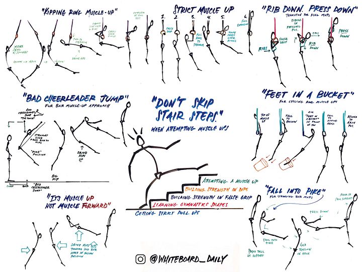 Digital Poster: Muscle-Up Cues - Full Color product image (1)