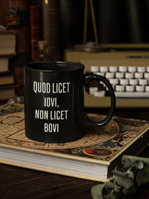 Quod Licet Iovi, Non Licet Bovi Mug product image (1)