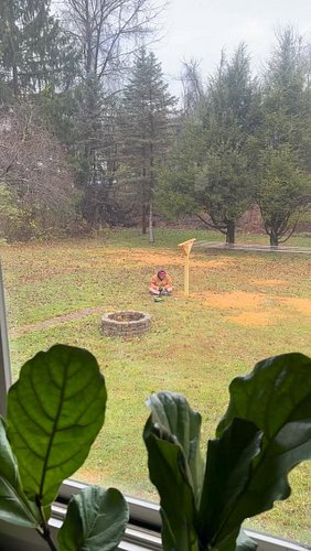 This is the greatest purchase ever