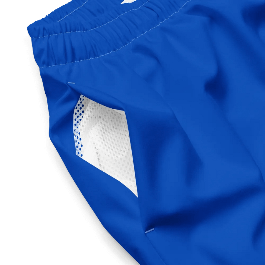 Plain Color Absolute Blue Swim Trunks product image (5)