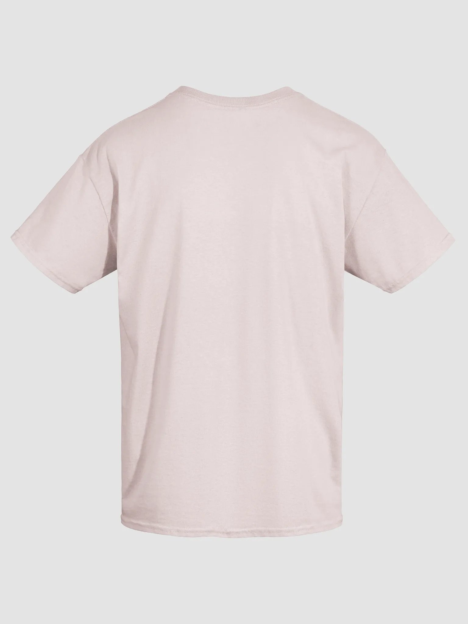 Physically Slaying Mentally Decaying - Cat T-shirt product image (36)