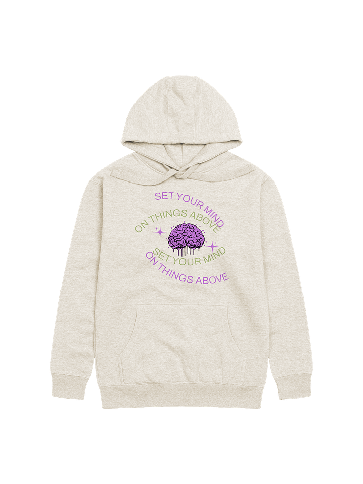 Set Your Mind on Things Above Unisex Hoodie product image (17)