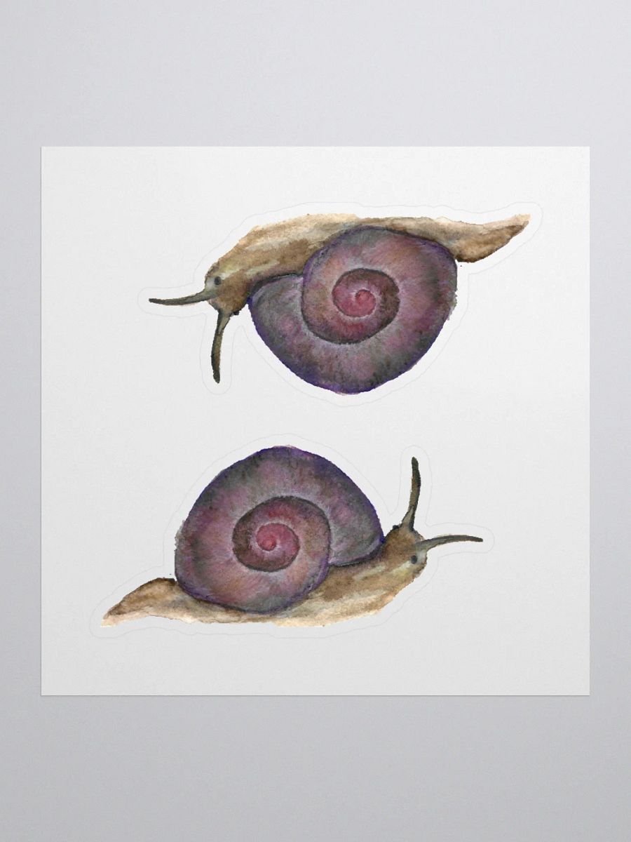 Snail (Helicina wettsteini) sticker product image (1)