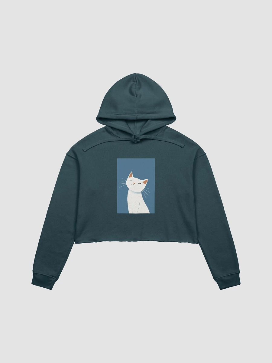Boho Style Kitty Crop Hoodie product image (7)
