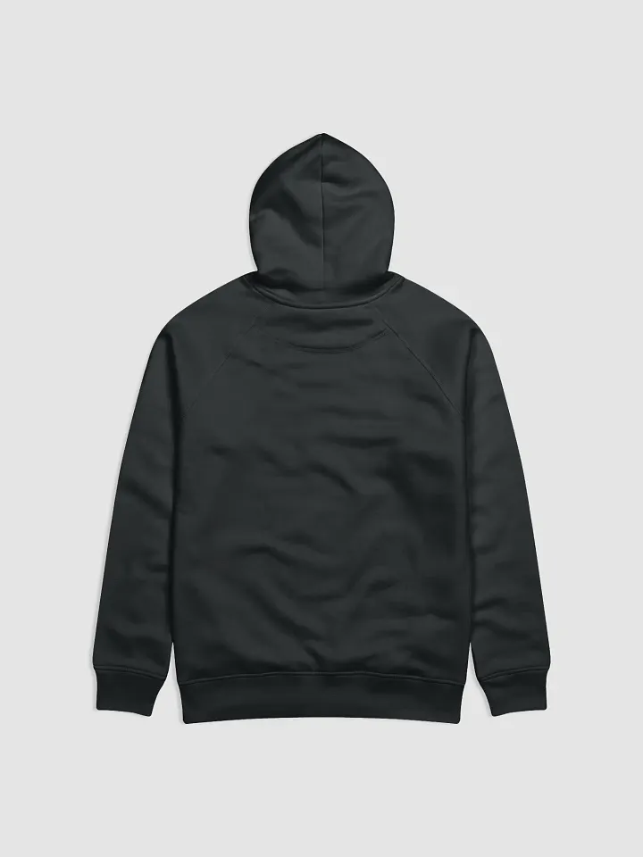Colorful Potted Cacti And Succulents Unisex Eco Hoodie product image (2)