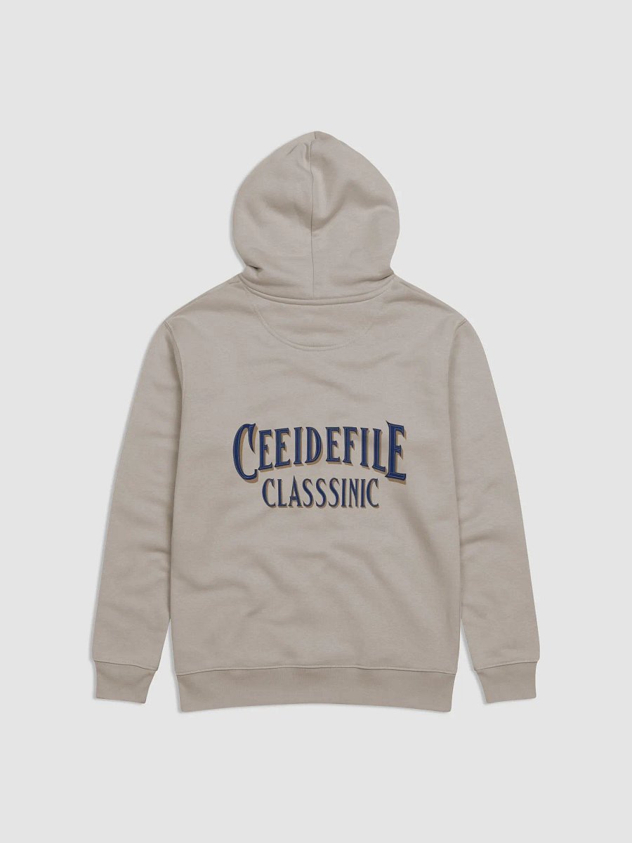 Eco Streetwear Organic Hoodie product image (6)