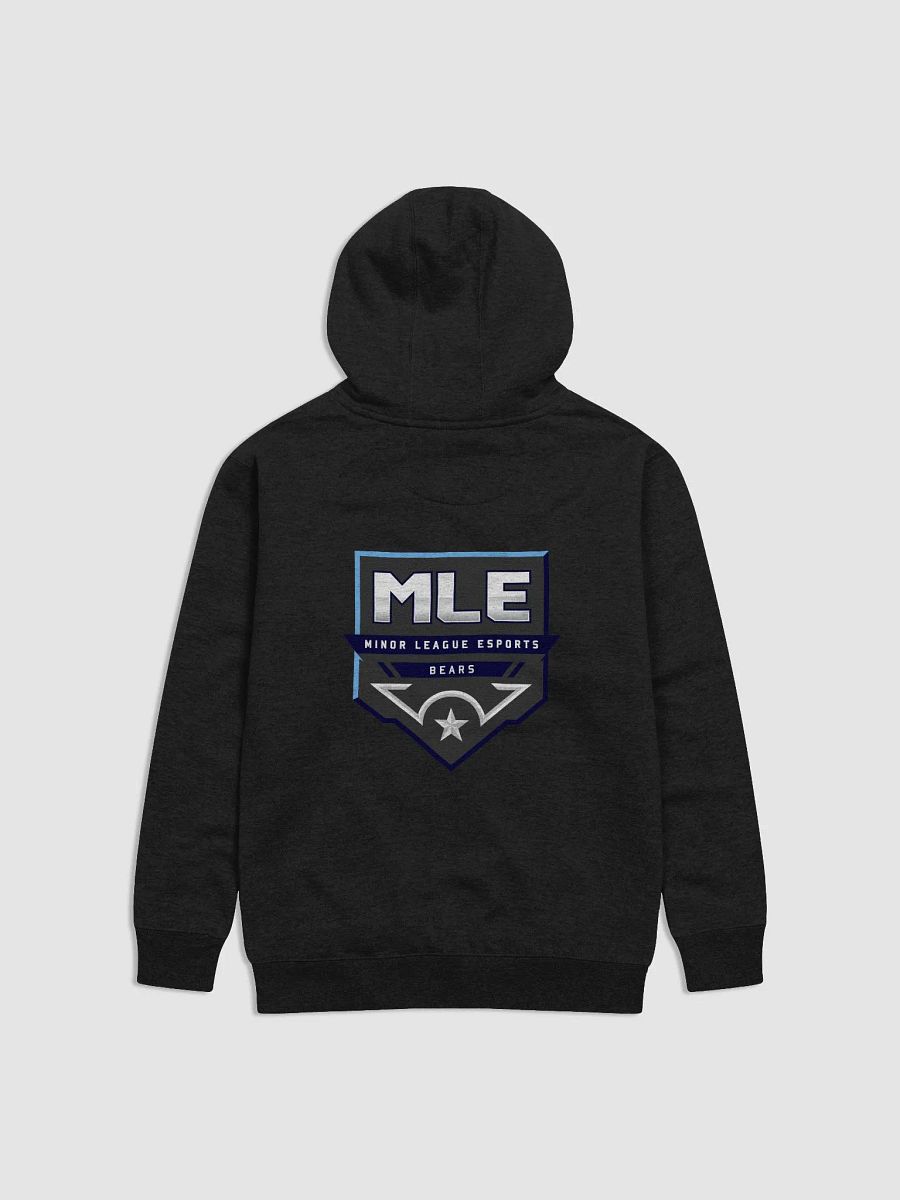 Bears Premium Unisex Hoodie product image (15)