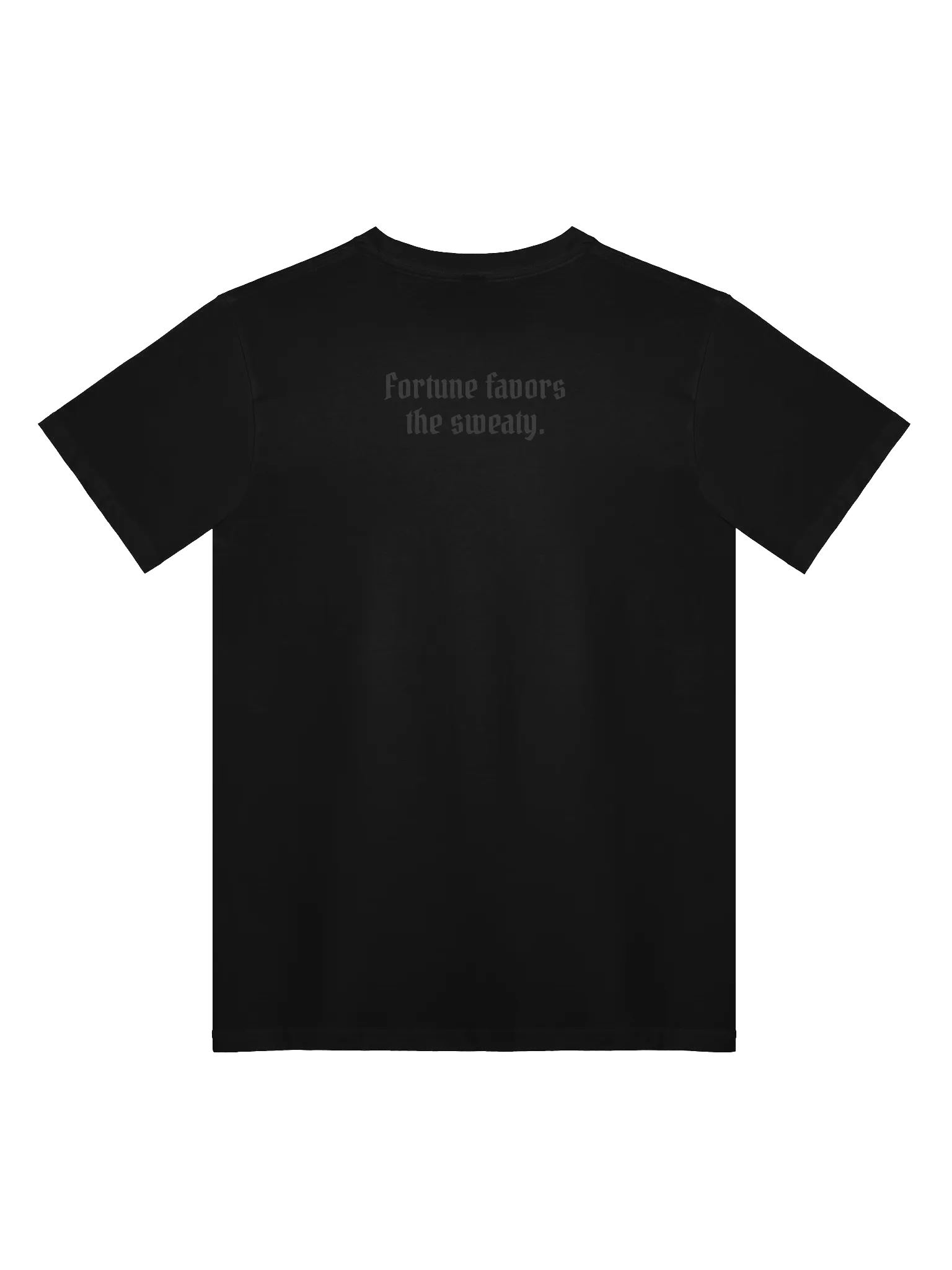 Daily Sweat Unisex Premium T-shirt product image (2)