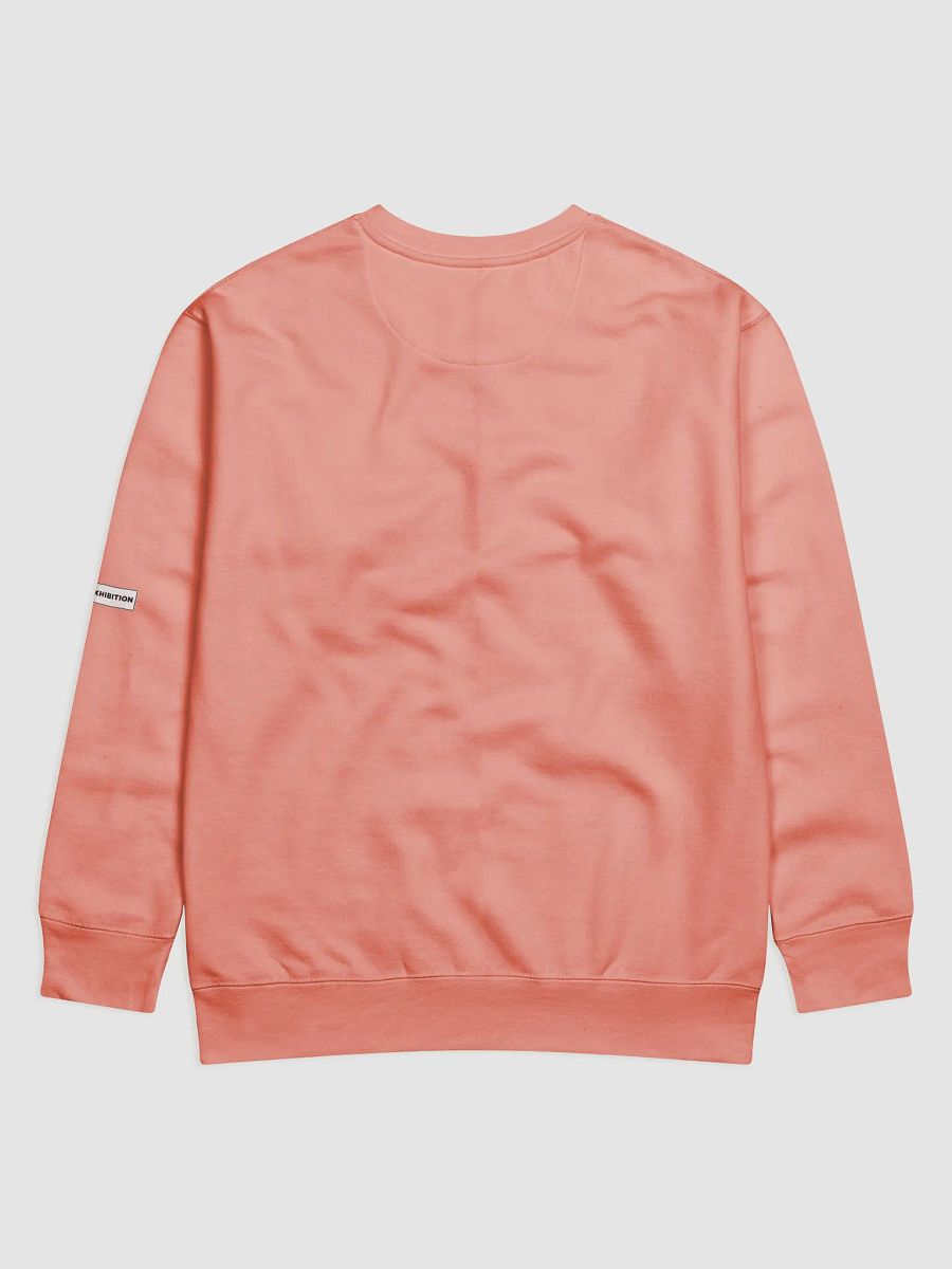 "TALKS CHEAP, ACTIONS MAKE THE EMPIRE" premium cotton sweatshirt product image (2)