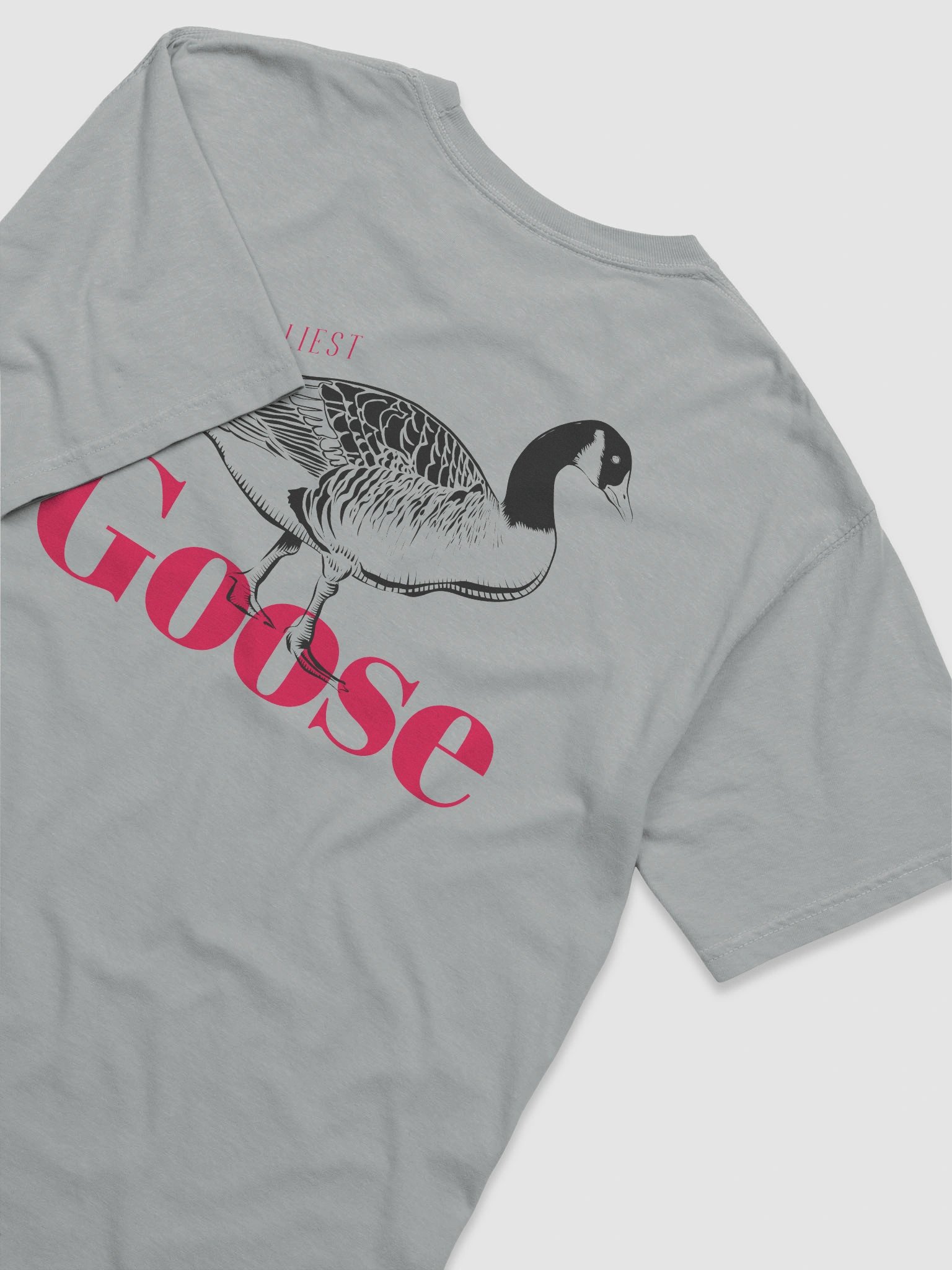 The Silliest Goose product image (6)