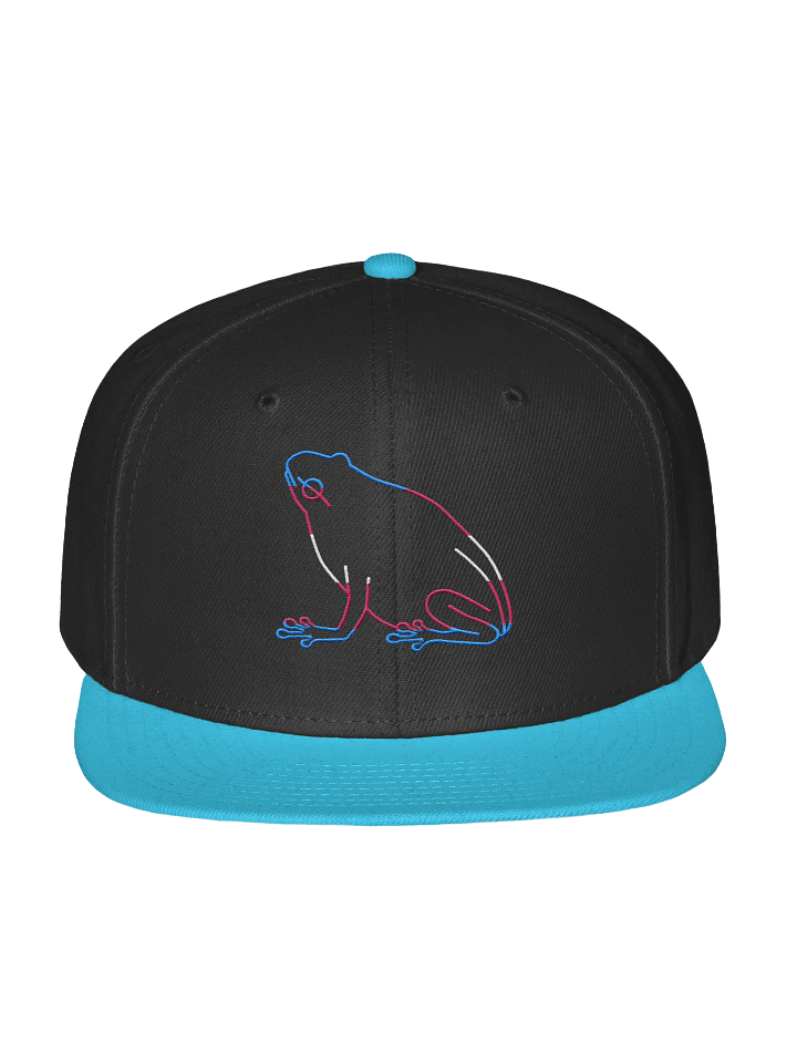 Trans Frog Wool Snapback product image (10)