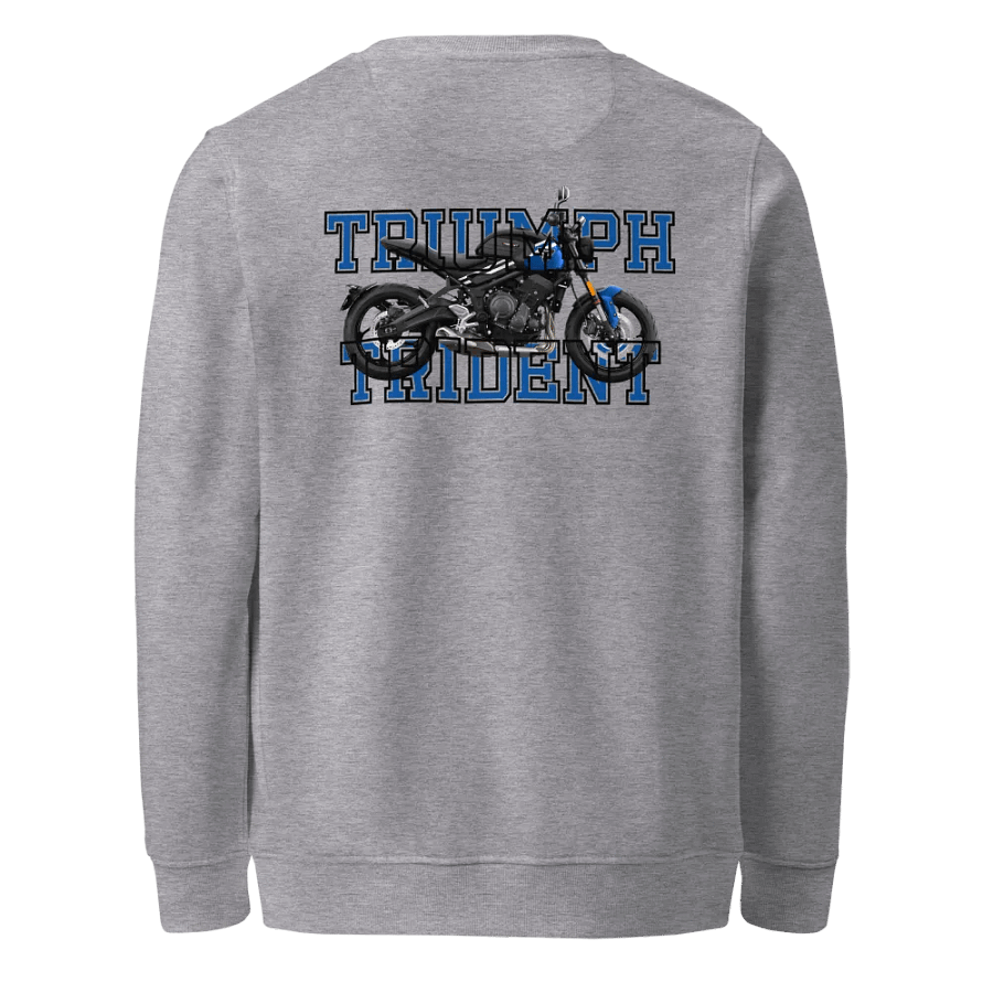 Trident 660 Unisex Sweatshirt product image (4)