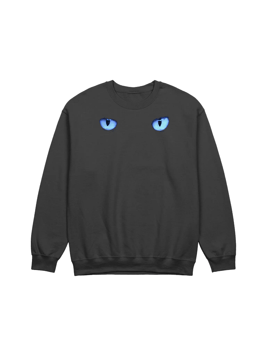 CAT EYES BLUE SWEATSHIRT product image (1)