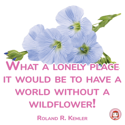 017-001 PNG 512px 300dpi RGB | What a lonely place it would be to have a world without a wildflower product image (1)