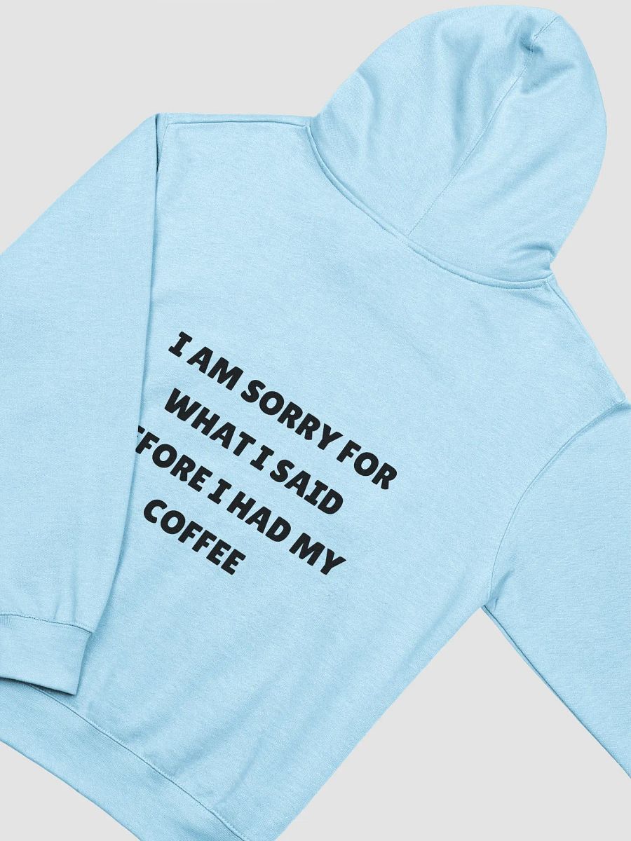 I AM SORRY HOODIE (UNISEX) product image (20)